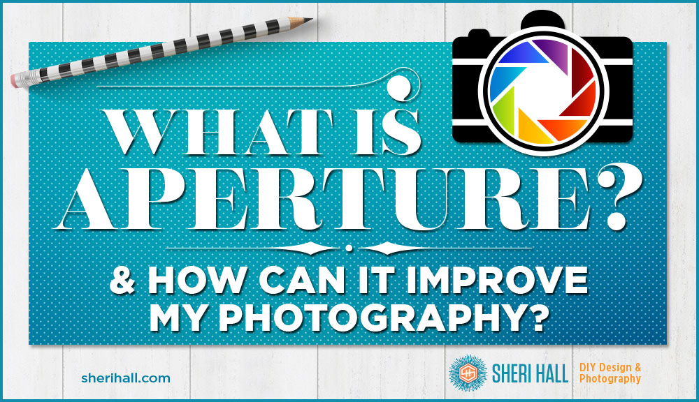 What is aperture? And how can it improve my photography? - Sheri Hall