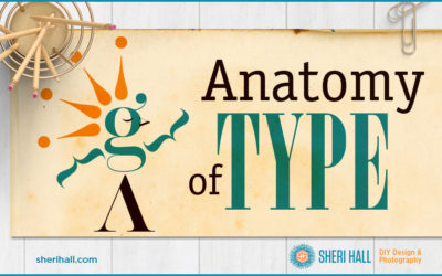 Anatomy of Type