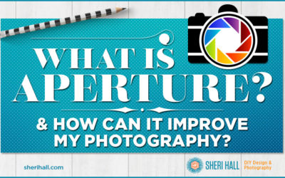 What is aperture? And how can it improve my photography?