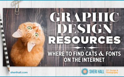 Graphic design resources: where to find cats and fonts on the internet