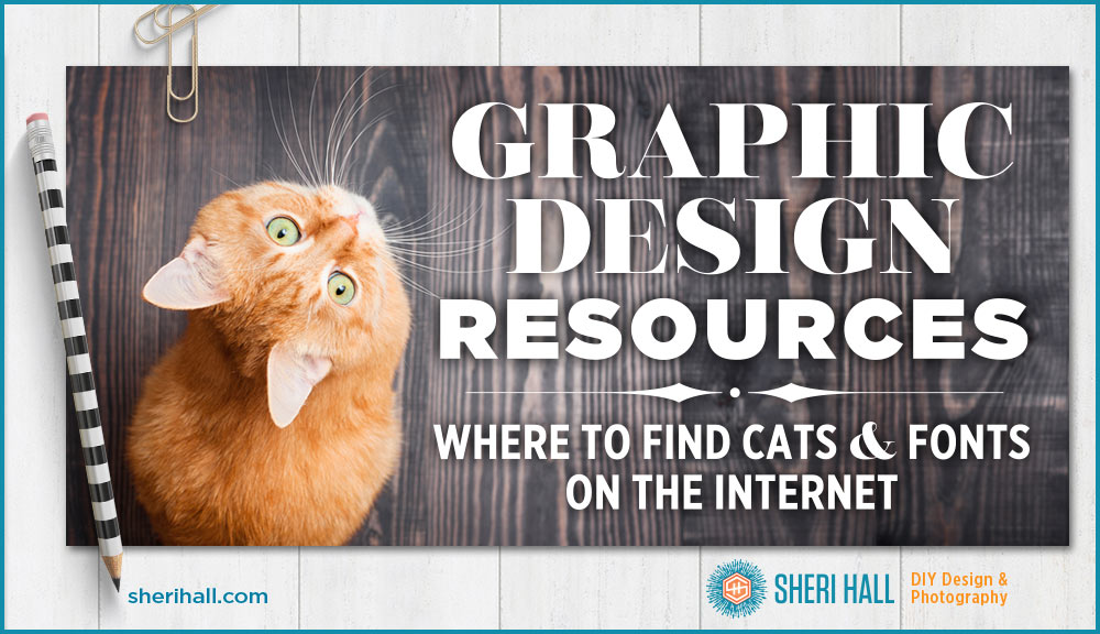 Graphic design resources: where to find cats and fonts on the internet