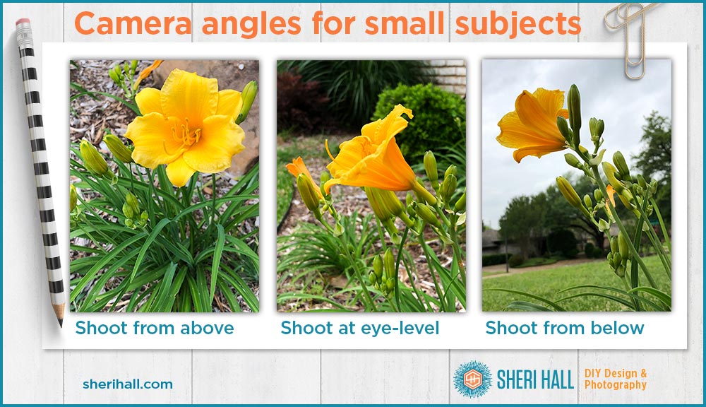 how to add drama + interest to your photos by changing your camera angle