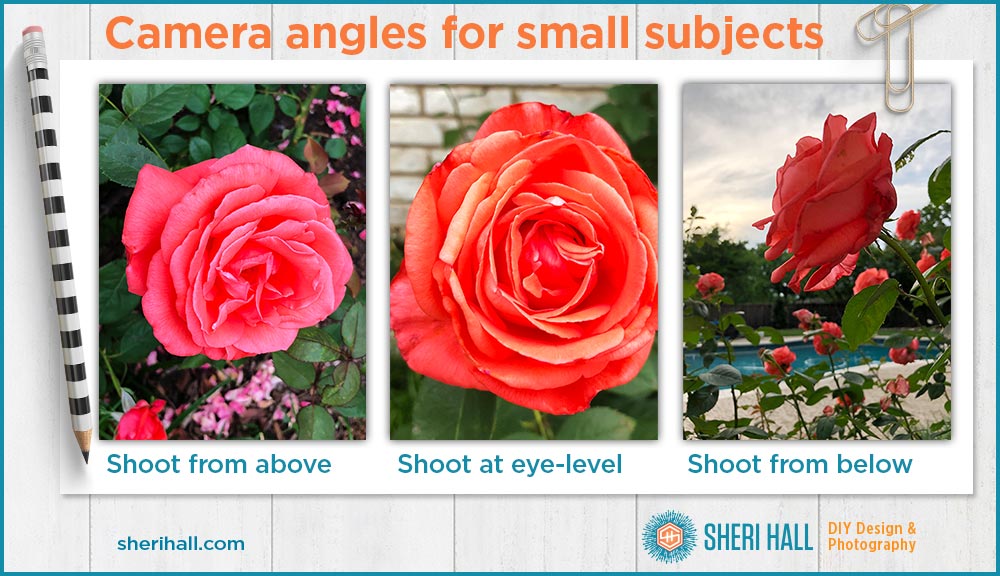 how to add drama + interest to your photos by changing your camera angle