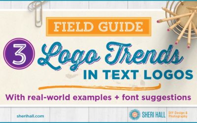 3 Logo trends in text logo design